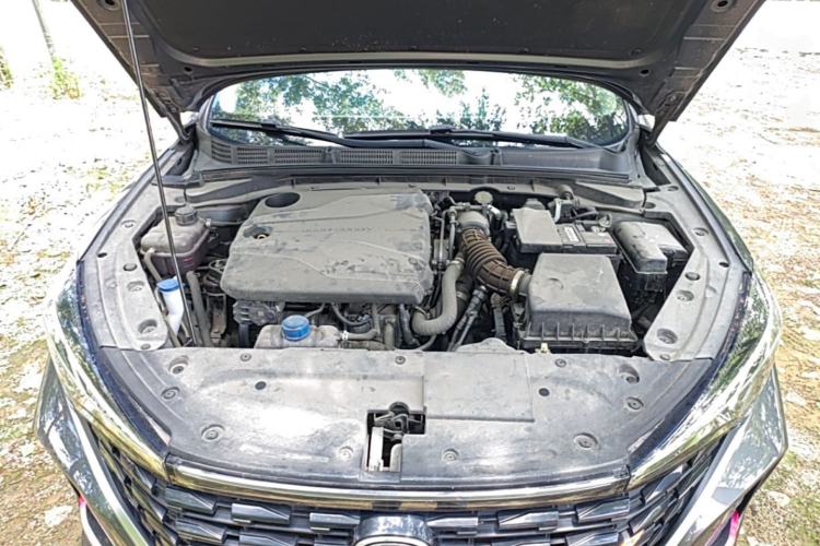 Used CHANGAN Eado 2022 PLUS Blue Whale NE 1.4T GDI DCT Prestige Edition Engine Bay
