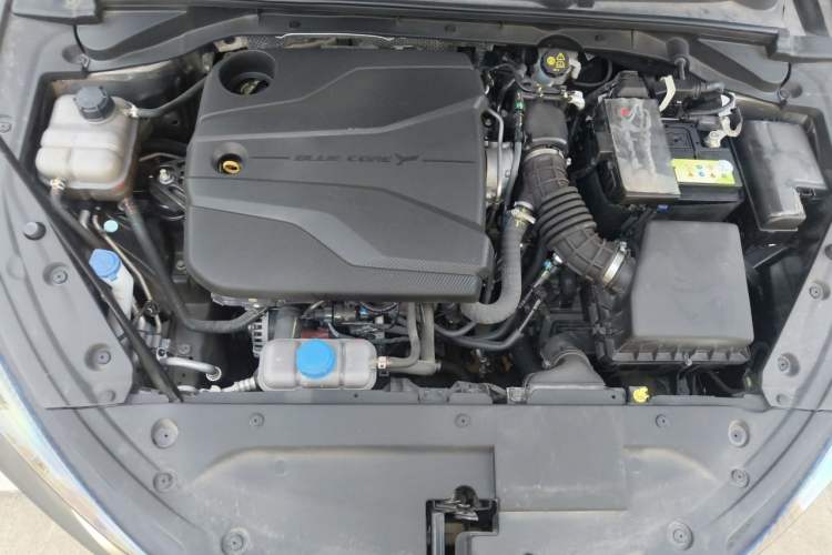 Used CHANGAN Eado 2022 PLUS Blue Whale NE 1.4T GDI DCT Prestige Edition Engine Bay
