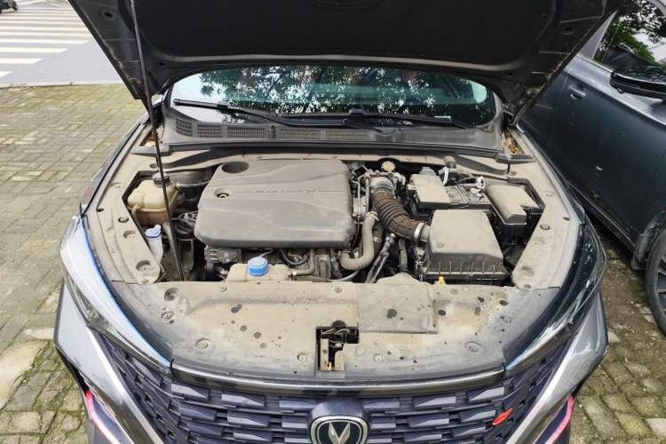 Used CHANGAN Eado 2022 PLUS Blue Whale NE 1.4T GDI DCT Prestige Edition Engine Bay
