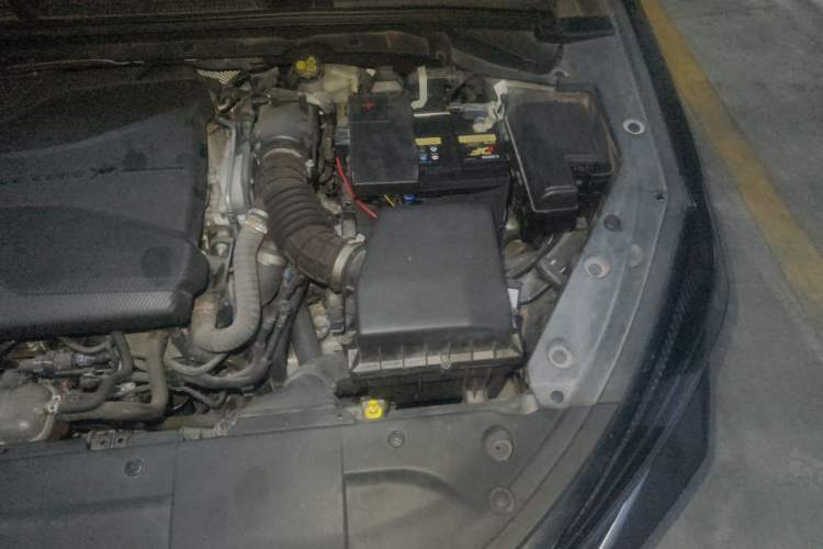 Used CHANGAN Eado 2022 PLUS Blue Whale NE 1.4T GDI DCT Flagship Edition Engine Bay Left