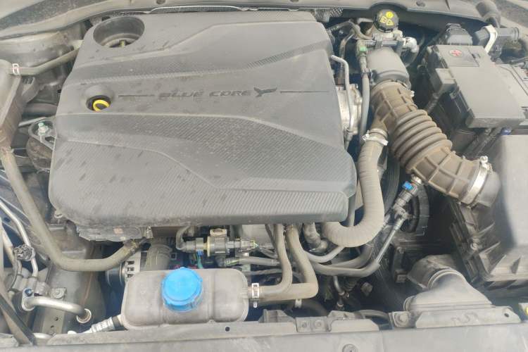 Used CHANGAN Eado 2022 PLUS Blue Whale NE 1.4T GDI DCT Prestige Edition Engine Bay