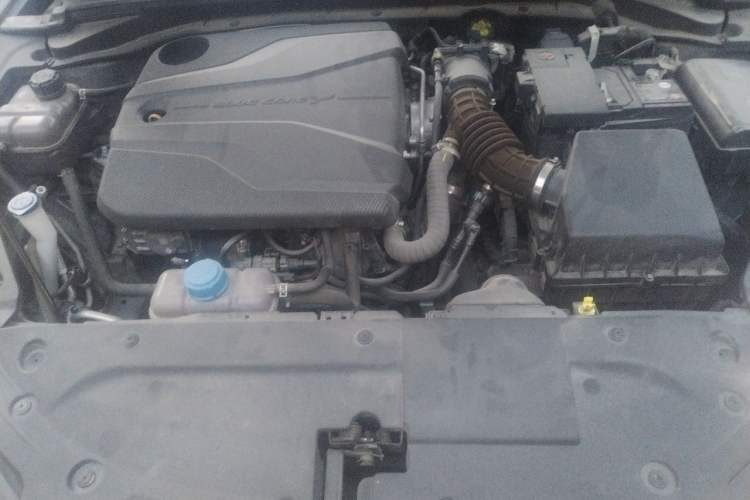 Used CHANGAN Eado 2022 PLUS Blue Whale NE 1.4T GDI DCT Prestige Edition Engine Bay