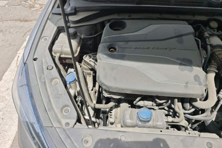 Used CHANGAN Eado 2022 PLUS Blue Whale NE 1.4T GDI DCT Prestige Edition Engine Bay Right