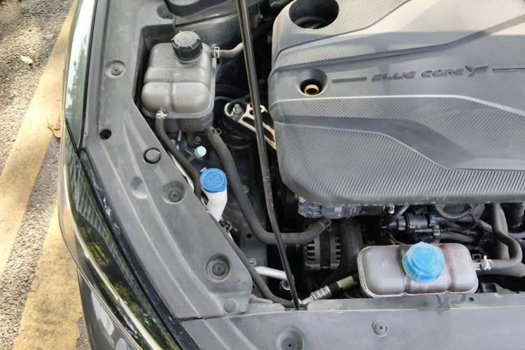 Used CHANGAN Eado 2022 PLUS Blue Whale NE 1.4T GDI DCT Prestige Edition Engine Bay Right