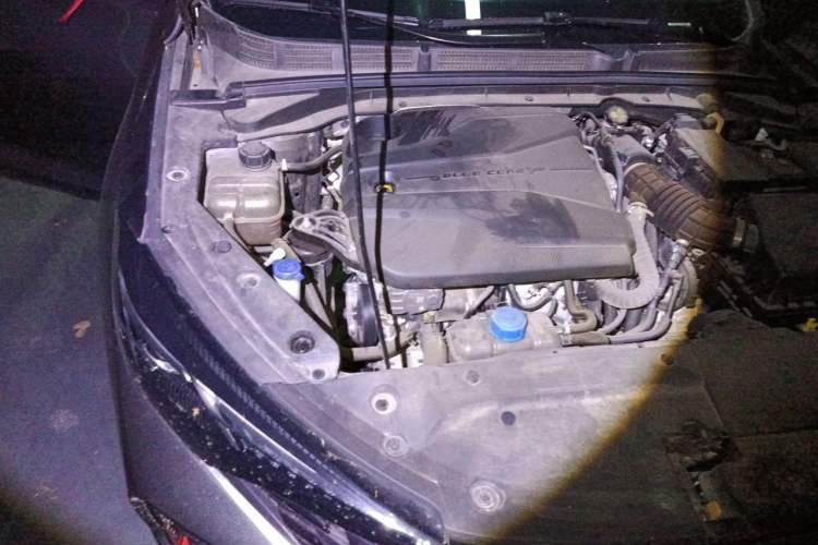 Used CHANGAN Eado 2022 PLUS Blue Whale NE 1.4T GDI DCT Flagship Edition Engine Bay Right