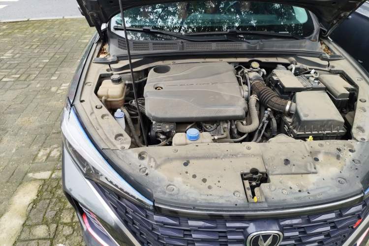 Used CHANGAN Eado 2022 PLUS Blue Whale NE 1.4T GDI DCT Prestige Edition Engine Bay Right