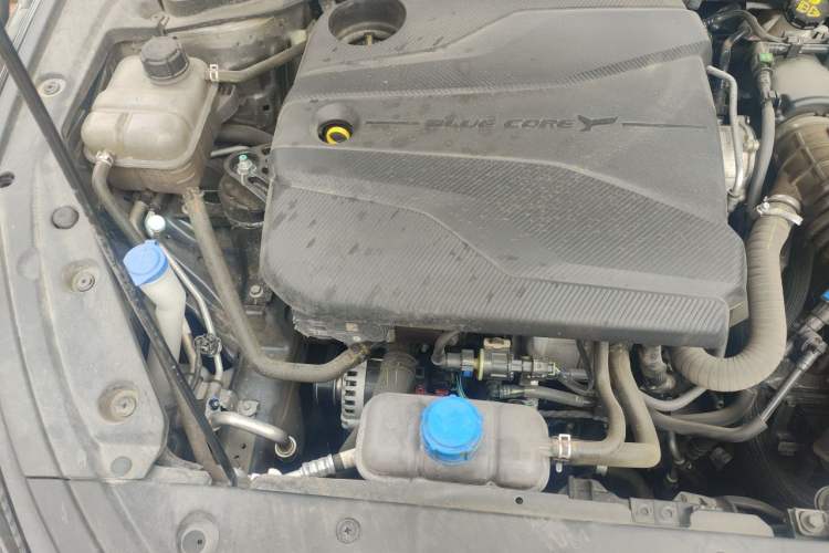 Used CHANGAN Eado 2022 PLUS Blue Whale NE 1.4T GDI DCT Prestige Edition Engine Bay Right