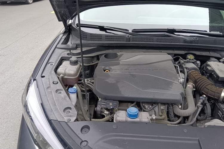 Used CHANGAN Eado 2022 PLUS Blue Whale NE 1.4T GDI DCT Prestige Edition Engine Bay Right
