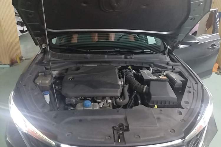 Used CHANGAN Eado 2022 PLUS Blue Whale NE 1.4T GDI DCT Flagship Edition Engine Bay