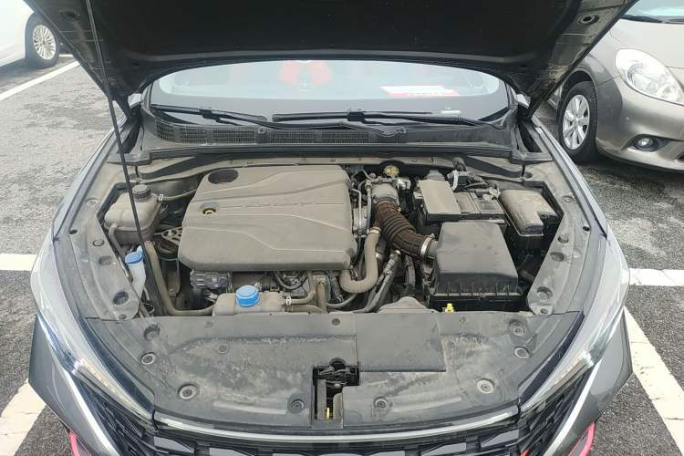 Used CHANGAN Eado 2022 PLUS Blue Whale NE 1.4T GDI DCT Prestige Edition Engine Bay