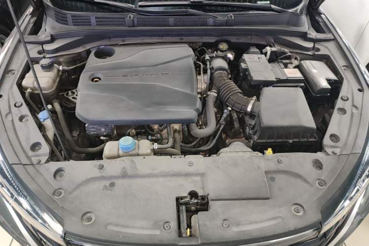 Used CHANGAN Eado 2022 PLUS Blue Whale NE 1.4T GDI DCT Prestige Edition Engine Bay