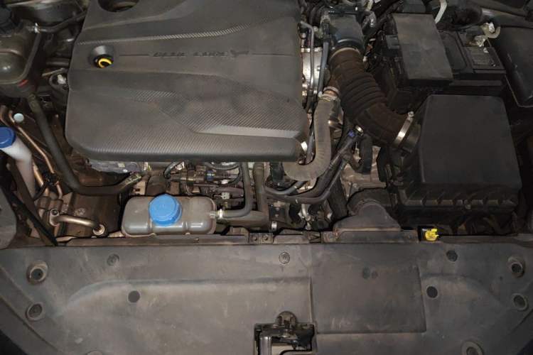 Used CHANGAN Eado 2022 PLUS Blue Whale NE 1.4T GDI DCT Prestige Edition Engine Bay