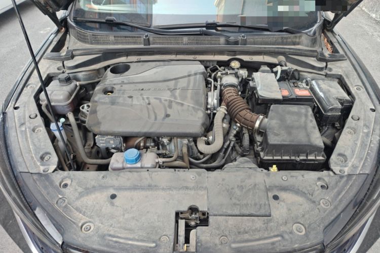 Used CHANGAN Eado 2022 PLUS Blue Whale NE 1.4T GDI DCT Prestige Edition Engine Bay