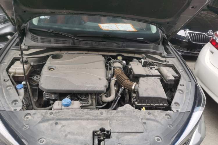 Used CHANGAN Eado 2022 PLUS Blue Whale NE 1.4T GDI DCT Flagship Edition Engine Bay