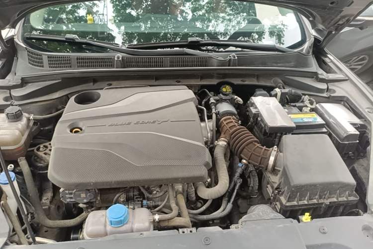 Used CHANGAN Eado 2022 PLUS Blue Whale NE 1.4T GDI DCT Prestige Edition Engine Bay