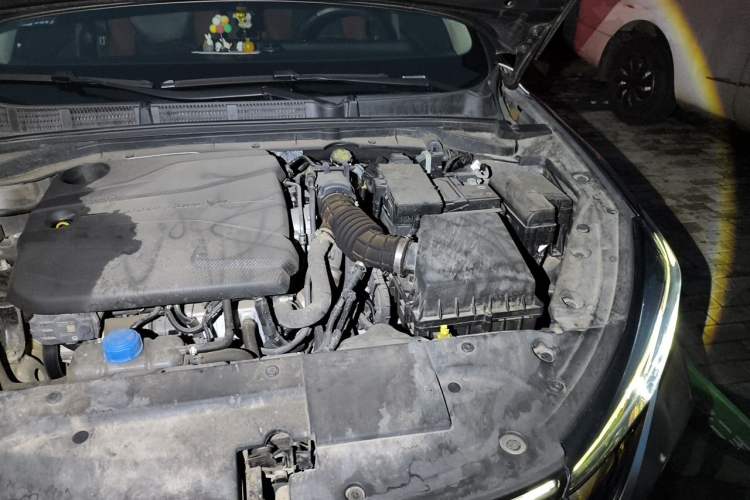 Used CHANGAN Eado 2022 PLUS Blue Whale NE 1.4T GDI DCT Prestige Edition Engine Bay Left