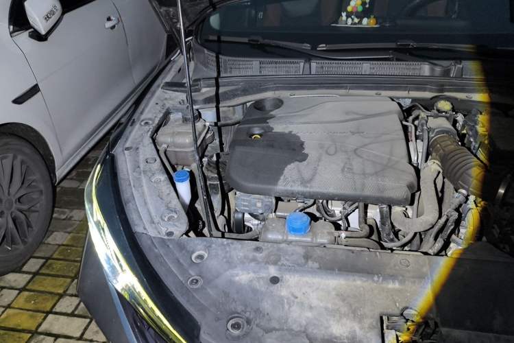Used CHANGAN Eado 2022 PLUS Blue Whale NE 1.4T GDI DCT Prestige Edition Engine Bay Right