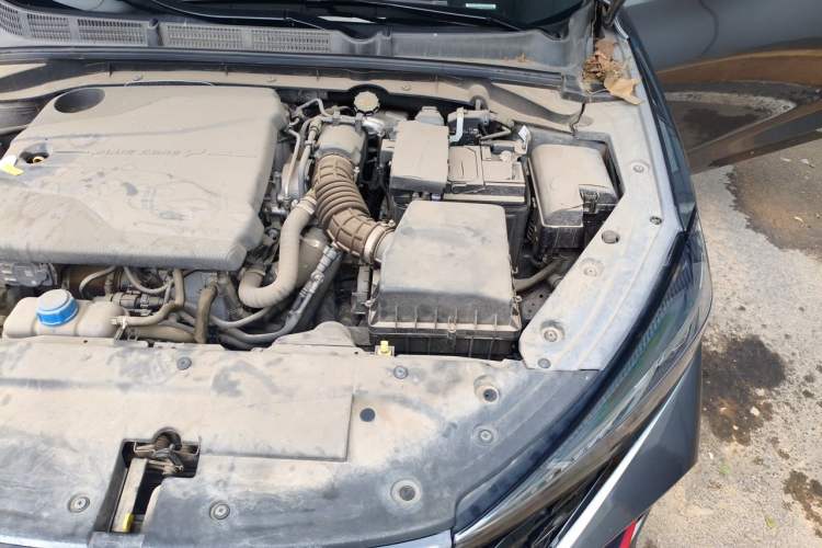 Used CHANGAN Eado 2022 PLUS Blue Whale NE 1.4T GDI DCT Prestige Edition Engine Bay Left