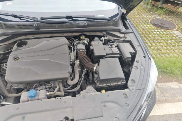 Used CHANGAN Eado 2022 PLUS Blue Whale NE 1.4T GDI DCT Flagship Edition Engine Bay Left