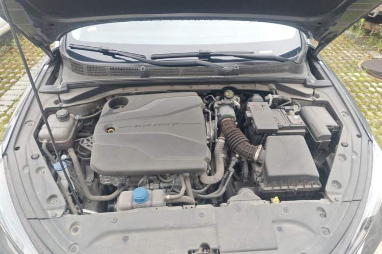 Used CHANGAN Eado 2022 PLUS Blue Whale NE 1.4T GDI DCT Flagship Edition Engine Bay