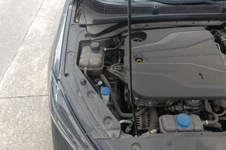 Used CHANGAN Eado 2022 PLUS Blue Whale NE 1.4T GDI DCT Flagship Edition Engine Bay Right