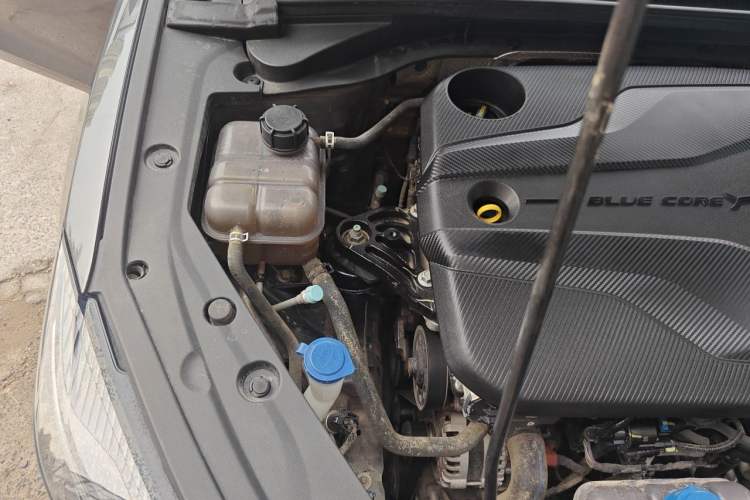 Used CHANGAN Eado 2022 PLUS Blue Whale NE 1.4T GDI DCT Prestige Edition Engine Bay Right