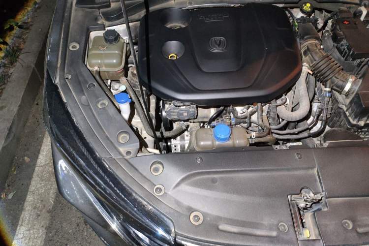 Used CHANGAN Eado 2022 PLUS Blue Whale NE 1.4T GDI DCT Prestige Edition Engine Bay Right