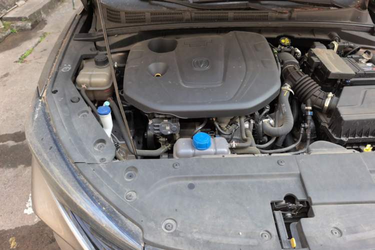 Used CHANGAN Eado 2022 PLUS Blue Whale NE 1.4T GDI DCT Prestige Edition Engine Bay Right