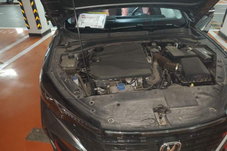 Used CHANGAN Eado 2022 PLUS Blue Whale NE 1.4T GDI DCT Prestige Edition Engine Bay Right