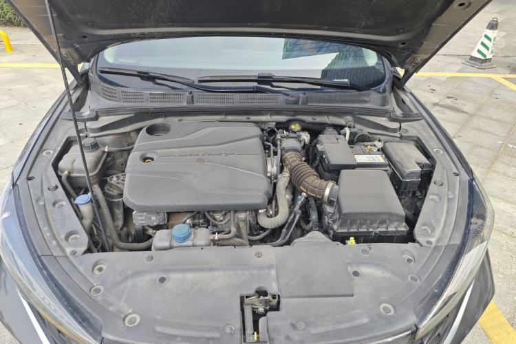 Used CHANGAN Eado 2022 PLUS Blue Whale NE 1.4T GDI DCT Prestige Edition Engine Bay