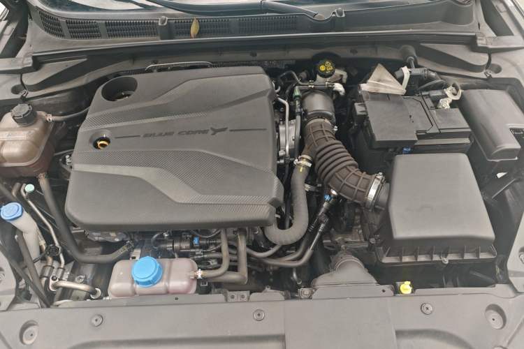 Used CHANGAN Eado 2022 PLUS Blue Whale NE 1.4T GDI DCT Prestige Edition Engine Bay