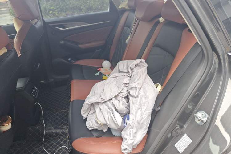 Used CHANGAN Eado 2022 PLUS Blue Whale NE 1.4T GDI DCT Prestige Edition Left Rear Seat