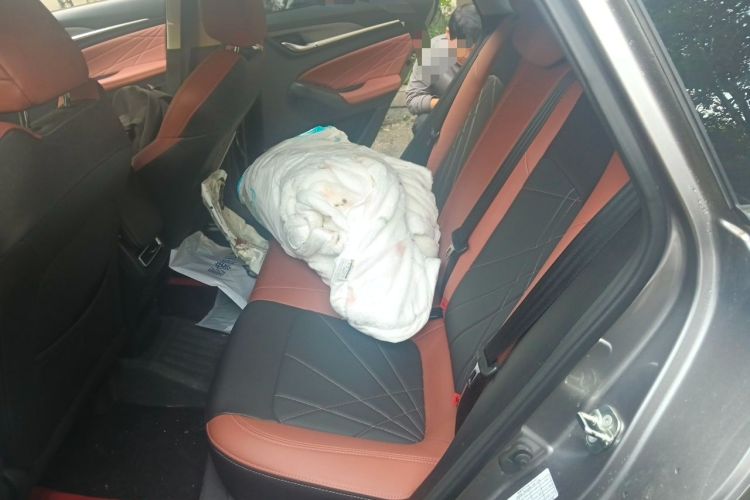 Used CHANGAN Eado 2022 PLUS Blue Whale NE 1.4T GDI DCT Prestige Edition Left Rear Seat