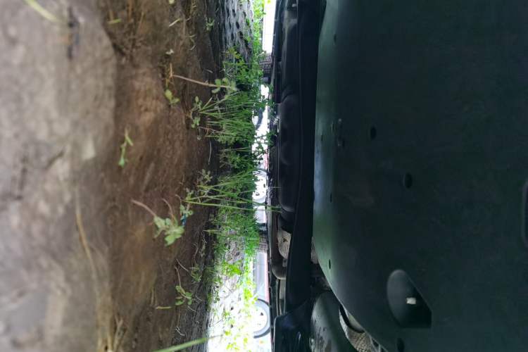 Used CHANGAN Eado 2022 PLUS 1.6L GDI Manual Luxury Model Chassis Rear