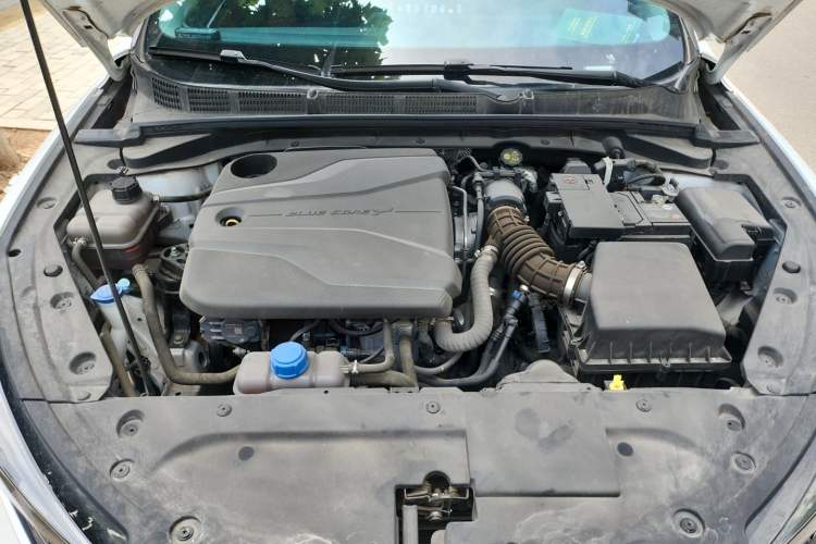 Used CHANGAN Eado 2022 PLUS Blue Whale NE 1.4T GDI DCT Prestige Edition Engine Bay