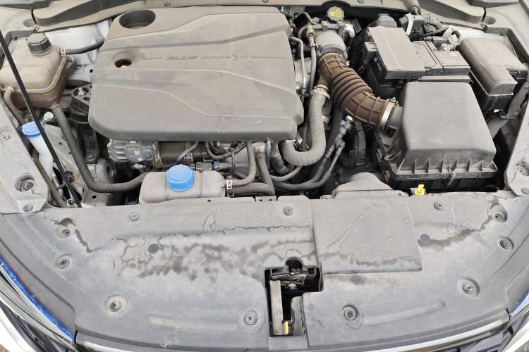 Used CHANGAN Eado 2022 PLUS Blue Whale NE 1.4T GDI DCT Prestige Edition Engine Bay