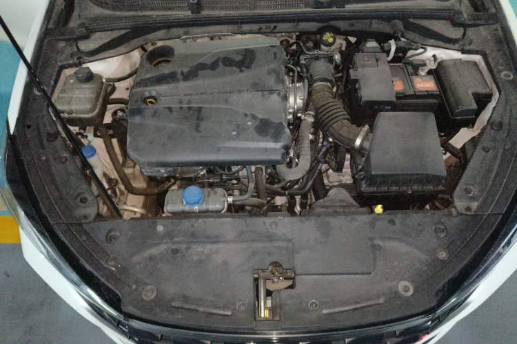 Used CHANGAN Eado 2022 PLUS Blue Whale NE 1.4T GDI DCT Flagship Edition Engine Bay
