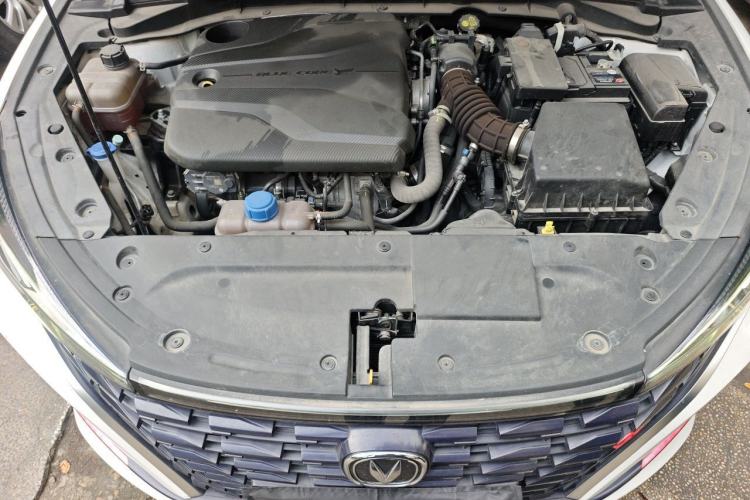 Used CHANGAN Eado 2022 PLUS Blue Whale NE 1.4T GDI DCT Prestige Edition Engine Bay