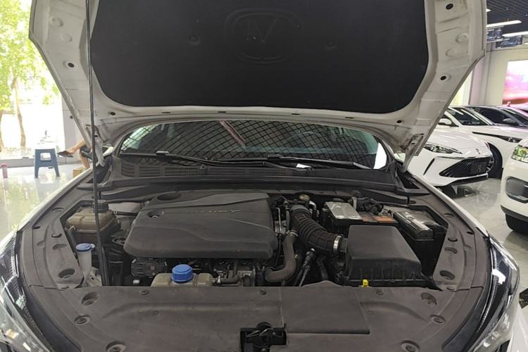 Used CHANGAN Eado 2022 PLUS Blue Whale NE 1.4T GDI DCT Prestige Edition Engine Bay