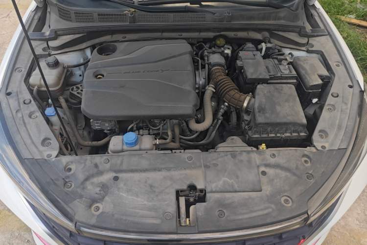Used CHANGAN Eado 2022 PLUS Blue Whale NE 1.4T GDI DCT Prestige Edition Engine Bay