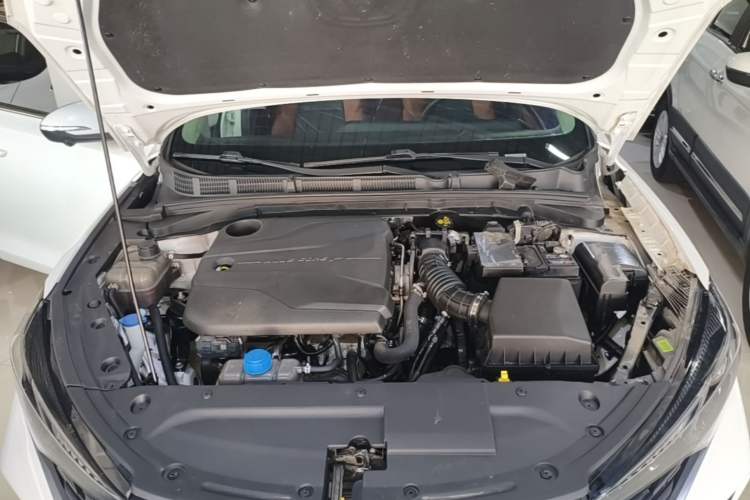 Used CHANGAN Eado 2022 PLUS Blue Whale NE 1.4T GDI DCT Prestige Edition Engine Bay