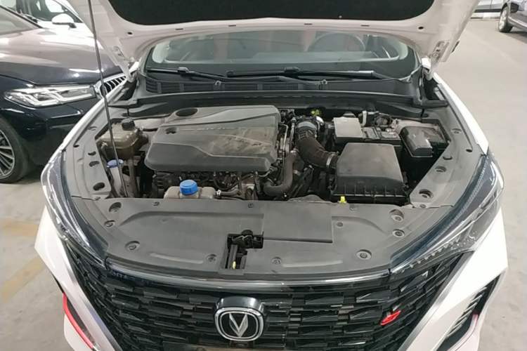 Used CHANGAN Eado 2022 PLUS Blue Whale NE 1.4T GDI DCT Prestige Edition Engine Bay