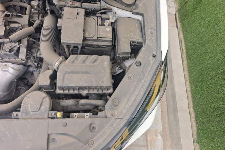 Used CHANGAN Eado 2022 PLUS 1.6L GDI CVT Elite Model Engine Bay Left