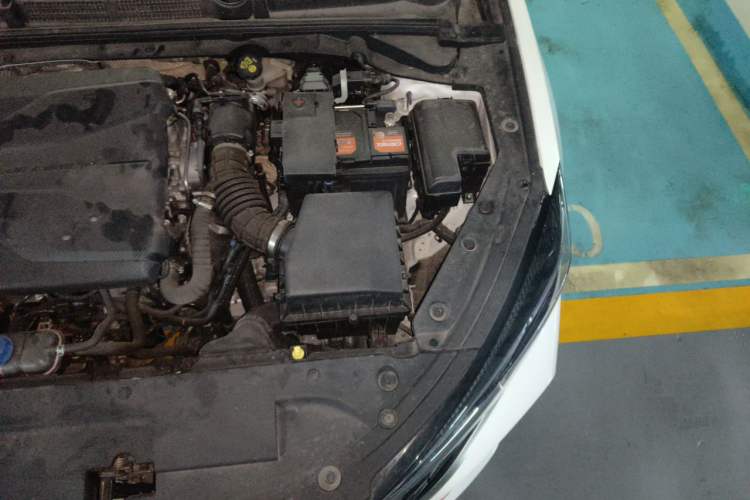 Used CHANGAN Eado 2022 PLUS Blue Whale NE 1.4T GDI DCT Flagship Edition Engine Bay Left