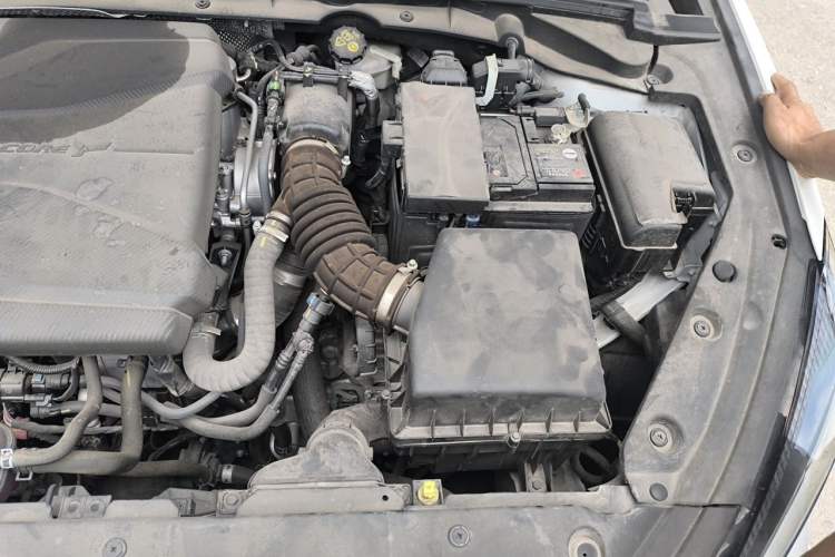 Used CHANGAN Eado 2022 PLUS Blue Whale NE 1.4T GDI DCT Prestige Edition Engine Bay Left