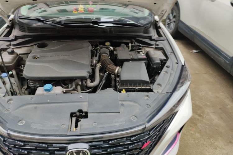 Used CHANGAN Eado 2022 PLUS Blue Whale NE 1.4T GDI DCT Prestige Edition Engine Bay Left