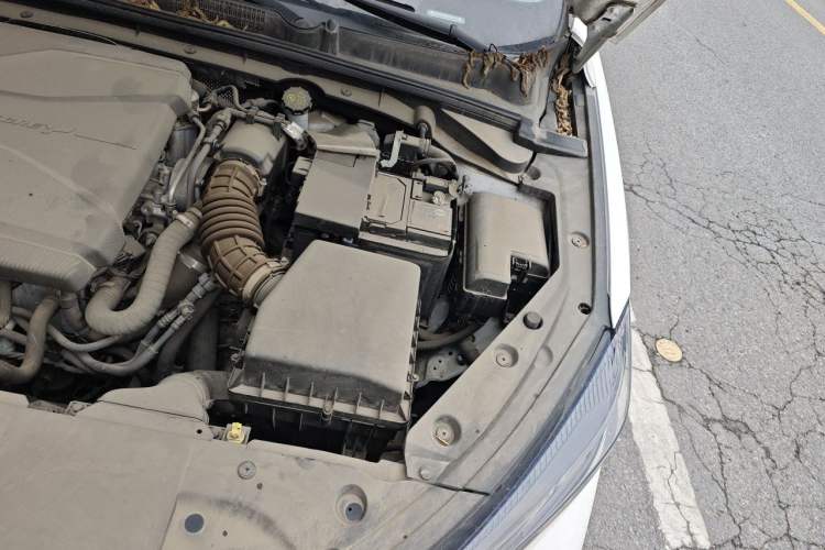Used CHANGAN Eado 2022 PLUS Blue Whale NE 1.4T GDI DCT Prestige Edition Engine Bay Left