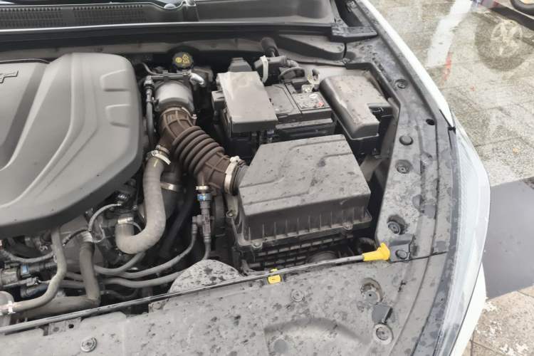 Used CHANGAN Eado 2022 PLUS Blue Whale NE 1.4T GDI DCT Prestige Edition Engine Bay Left