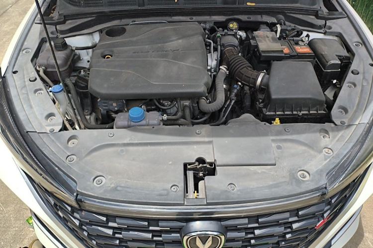 Used CHANGAN Eado 2022 PLUS Blue Whale NE 1.4T GDI DCT Flagship Edition Engine Bay
