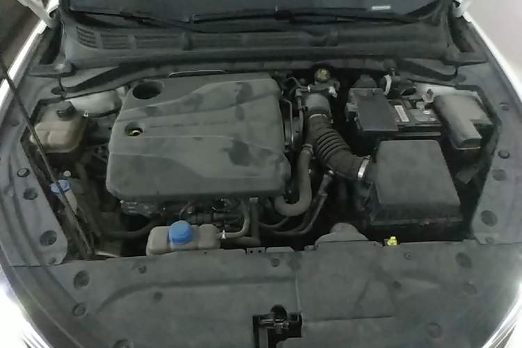 Used CHANGAN Eado 2022 PLUS Blue Whale NE 1.4T GDI DCT Prestige Edition Engine Bay